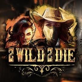 2 Wild 2 Die slot visual from Hacksaw Gaming available on spinstein.ca